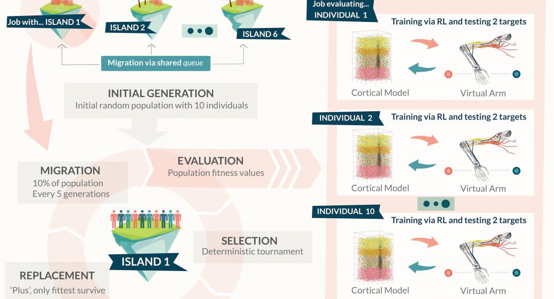 Evolutionary optimization
